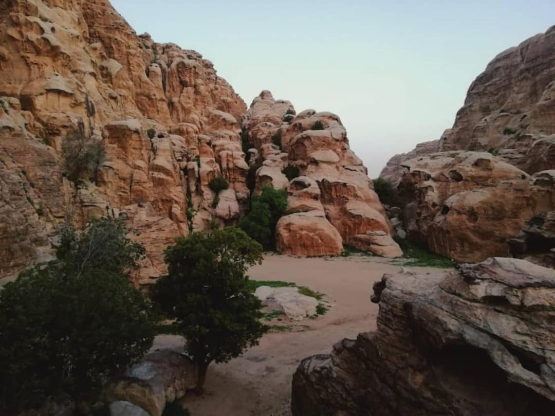 Euphoria Guest House Wadi Musa Eksteriør bilde